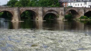 İngiltere’nin en büyük çevre davası başladı: Wye Nehri kirliliğinde iki dev firma ve su şirketi mahkemelik