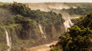 Dünyayı bekleyen tehlike: Amazon nasıl yavaş yavaş ölüyor?