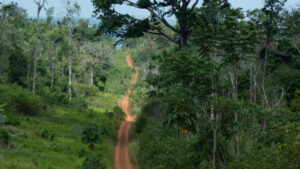 Amazon’un kalbindeki yapay ada, gezegenin akciğerlerini yeniden inşa ediyor