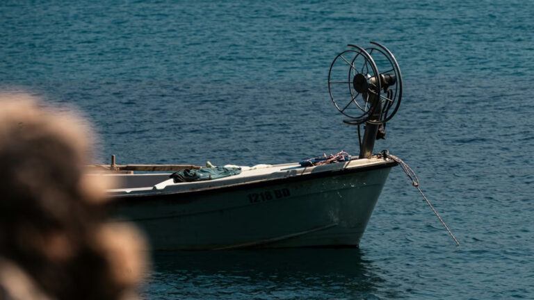 Akdeniz ve Karadeniz balıkçılığında iyileşme sinyali: Aşırı avlanma ve iklim tehdidi sürüyor