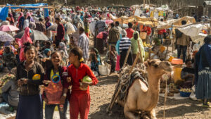 Etiyopya, COP32 zirvesine ev sahipliği yapmaya hazırlanıyor! Türkiye-Avustralya çıkmazı sürüyor