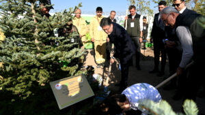 11 Kasım’da 14 milyon 914 bin fidan toprakla buluştu