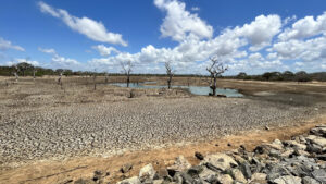 Bilim insanları uyardı: 1,5°C iklim hedefine geri dönüş şansı hâlâ var ama hükümetler hemen harekete geçmeli