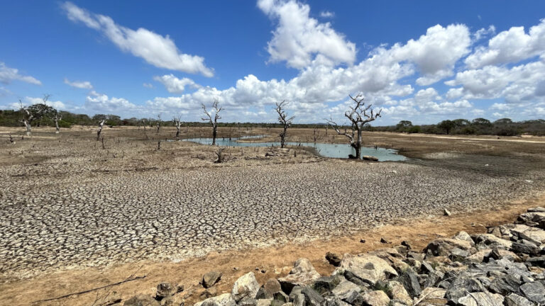 Bilim insanları uyardı: 1,5°C iklim hedefine geri dönüş şansı hâlâ var ama hükümetler hemen harekete geçmeli