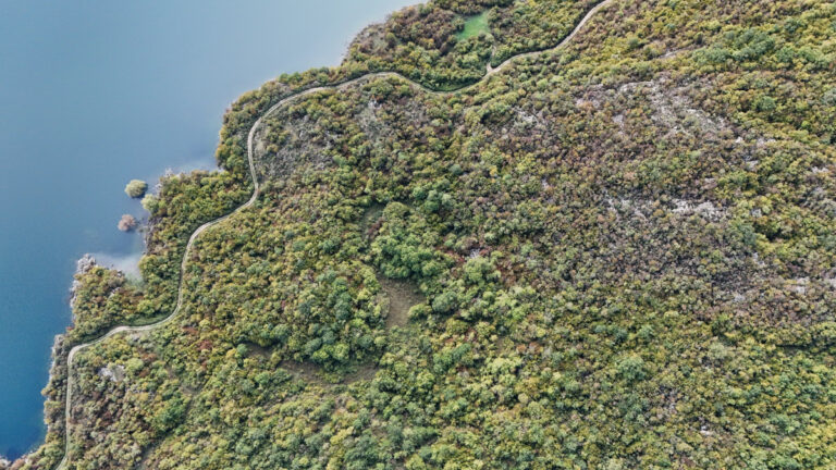 AB, orman tahrip kurallarını 1 yıl daha erteleyecek