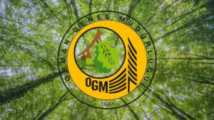 2025 OGM personel alımı başvuru ekranı: OGM personel alımı başvurusu nasıl yapılır, şartları nelerdir?