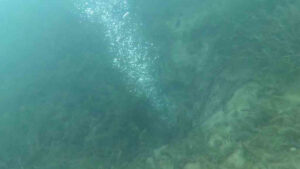 Sapanca Gölü’ndeki endişelendiren kabarcıklar su altından ve havadan görüntülendi