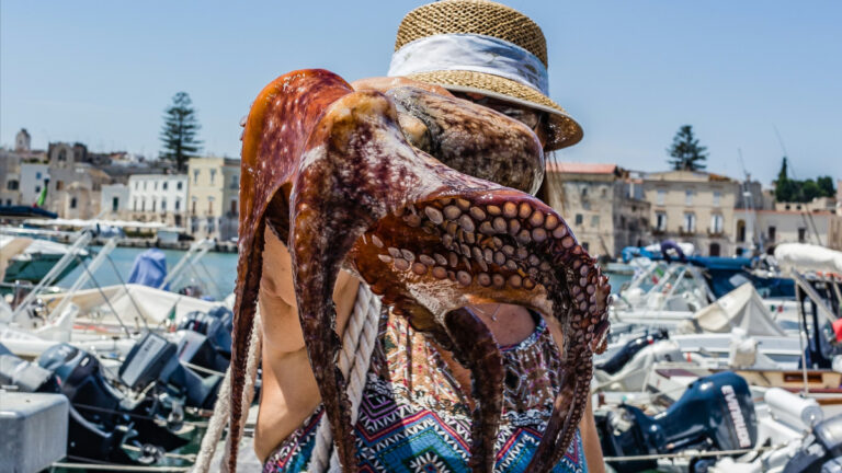 75 yıl sonra gelen dev istila: İngiltere’de 2025 “ahtapot yılı” ilan edildi!