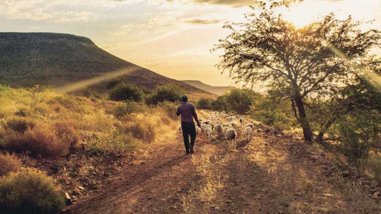 BM’den 2070’e dek 17 trilyon euro getiri için küresel iklim yatırımı çağrısı