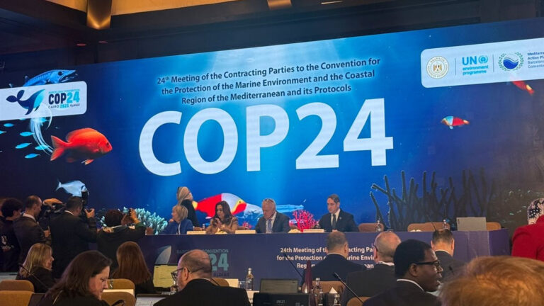 Akdeniz Bölgesel İklim Değişikliği Merkezi 2026’da İstanbul’da faaliyete geçecek