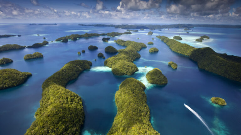 Bezos Earth Fund’dan okyanuslara kritik destek: 24.5 milyon dolarlık fonla ‘sınır ötesi deniz biyosferi’ kuruluyor