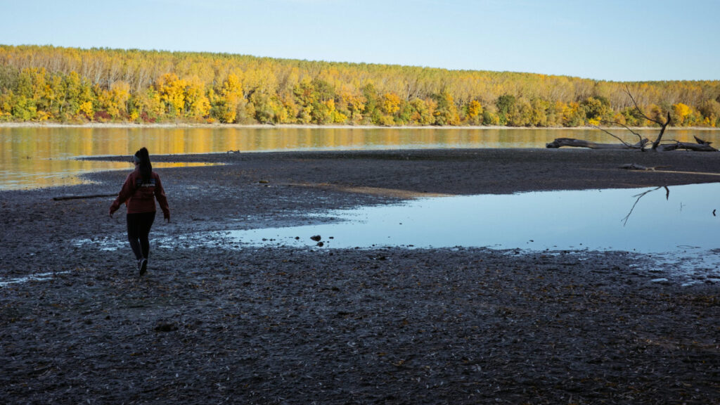 Sıcaklık, kuraklık ve yangın: Aşırı hava koşulları 2025’te doğayı nasıl sınırlarına kadar zorladı?