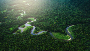 Bilim insanlarından acil iklim çağrısı: ‘Beklersek çok geç olacak’