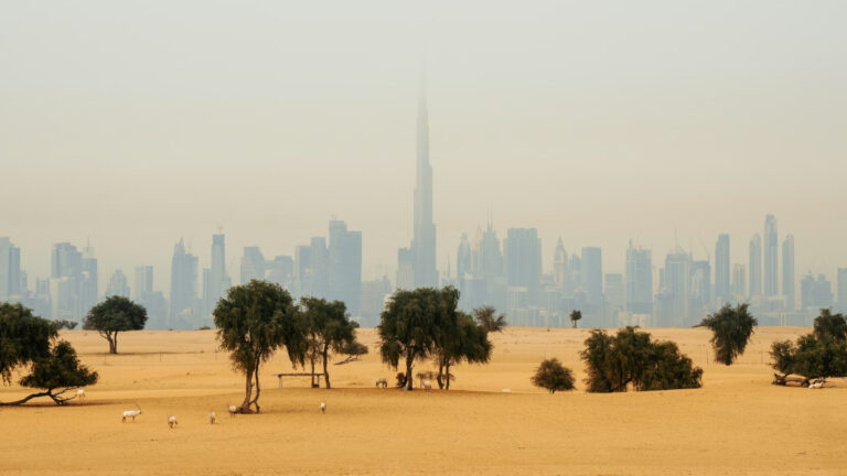 “Baş edilemeyecek kadar sıcak”: Arap Yarımadası küresel ortalamanın iki katı hızla ısınıyor