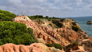 Türkiye’de toprak alarmı: 1 santimetre toprak 16 yılda yok oluyor