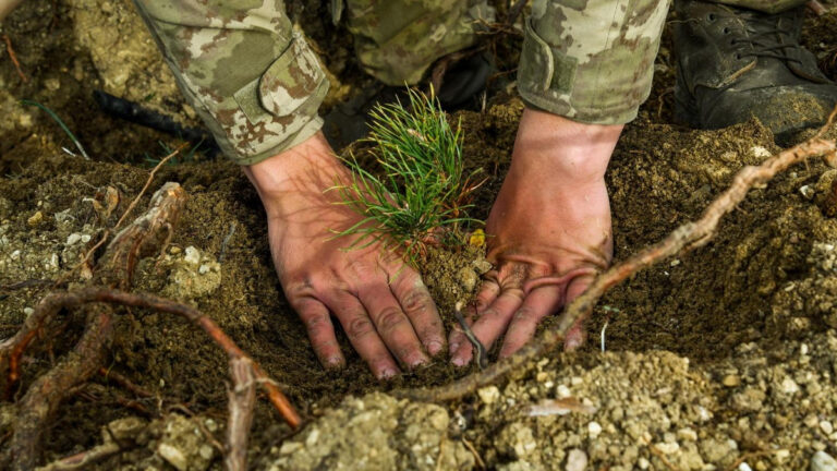 Kartalkaya yangınında hayatını kaybeden 78 kişi için Bolu’da hatıra ormanı oluşturuldu