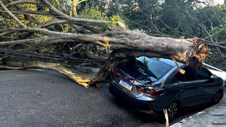 Küresel iklimin uç noktaları: Batı Avustralya’da kavurucu yangınlar, Brezilya’da fırtına kaosu