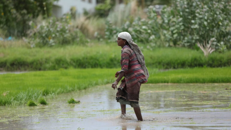 2025’in en ölümcül iklim felaketleri açıklandı: Uzmanlar: En çok kadınlar ve en yoksullar mağdur