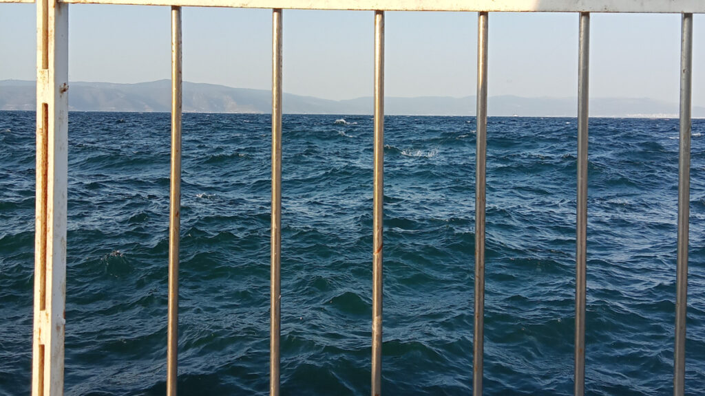 Marmara Denizi’nin ekolojik yapısı 30 noktada mercek altında