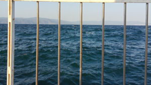 Marmara Denizi’nin ekolojik yapısı 30 noktada mercek altında