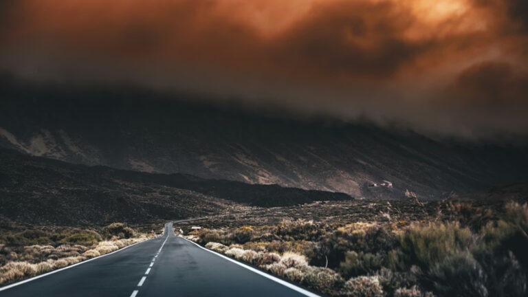 İspanya’da bu yıl 350 bin hektardan fazla ormanlık alan yandı