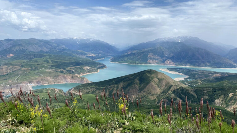 Bilimsel güvenilirlik darbe aldı: Nature, felaket iklim maliyetini tahmin eden çalışmayı geri çekti