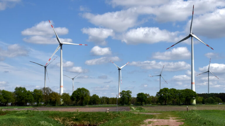 Almanya’da yenilenebilir enerjinin payı yıl sonunda yüzde 55,8’e çıkacak