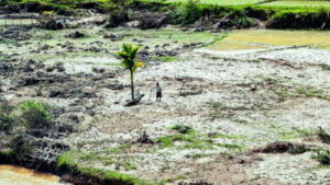 Asya’da seller, yaygın ormansızlaşmanın ölümcül etkilerini gösteriyor