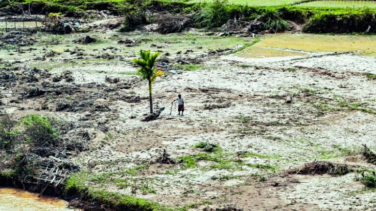 Asya’da seller, yaygın ormansızlaşmanın ölümcül etkilerini gösteriyor