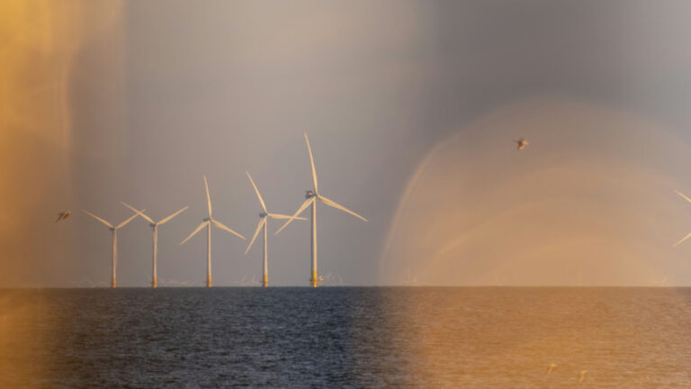 İngiltere’de rekor açık deniz rüzgar ihalesi: 12 milyon eve enerji sağlayacak sözleşme imzalandı