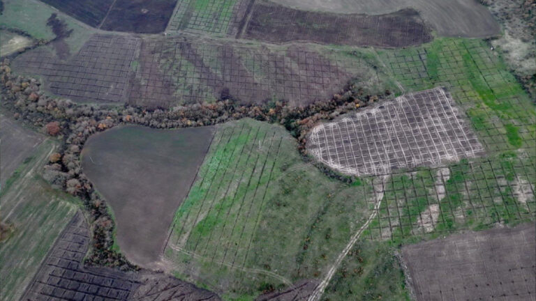 2025’te toprakla buluşan fidan sayısı 517 milyonu aştı