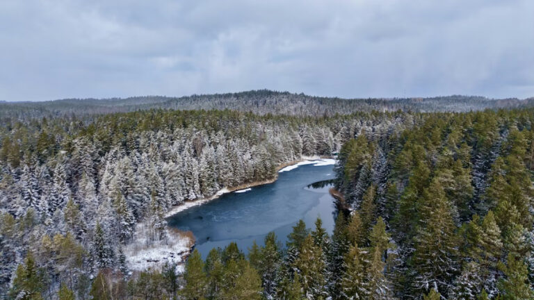 Arktik Okyanusu’na batırılan ağaçlar yılda 1 milyar ton CO2’yi ortadan kaldırabilir