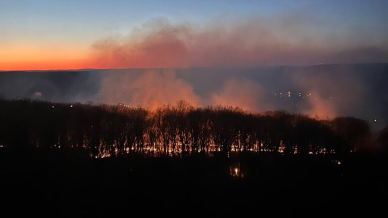 Avustralya’da orman yangınları: Bir kişi öldü, 300 ev ve 350 bin hektar kül oldu