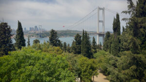 Bitki örtüsü her zaman çözüm olmayabilir: Kurak şehirlerde ısı adası etkisi artabiliyor