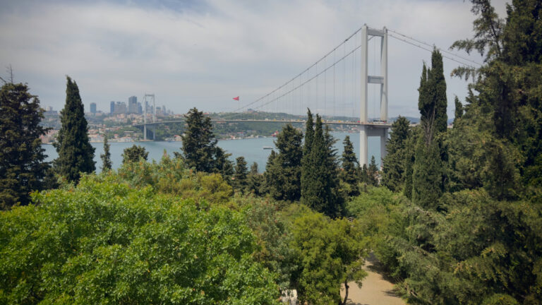 Bitki örtüsü her zaman çözüm olmayabilir: Kurak şehirlerde ısı adası etkisi artabiliyor