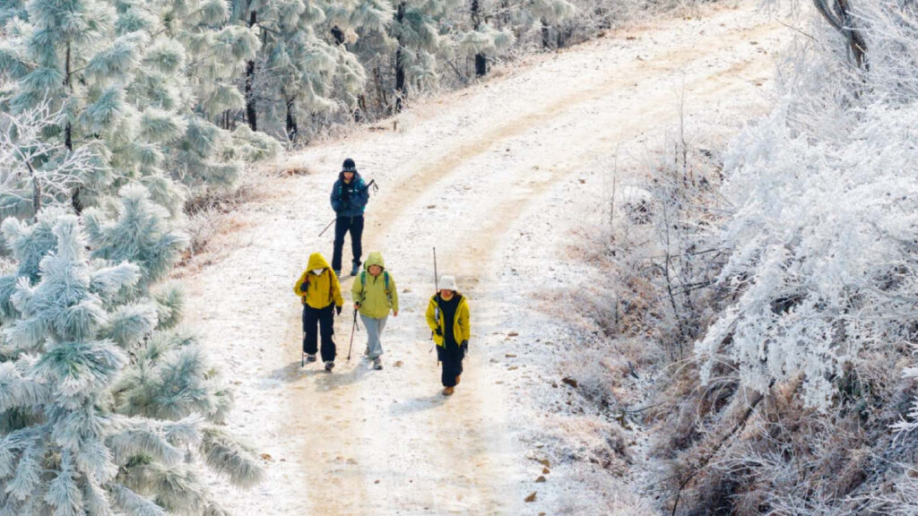 “Patlayan ağaç mı?”: ABD’de aşırı soğuklar buz depremlerini tetikliyor