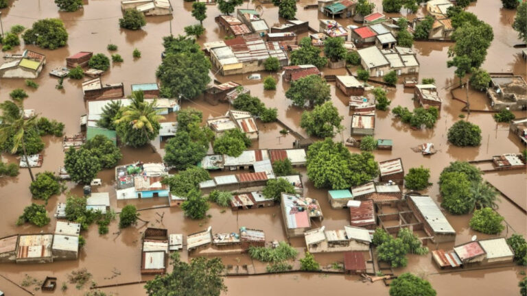 Güney Afrika’yı vuran sellerde timsah tehlikesi: Yetkililerden hayati uyarı