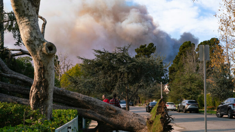 Yangınlar sonrası kanserojen tehlike riski sürüyor