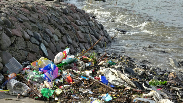 Plastik emisyonlarına bağlı sağlık riskleri 2040’a kadar iki katından fazla artabilir