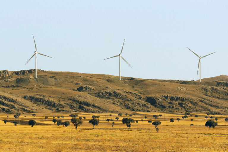 Rüzgârdan elektrik üretimi 3 Ocak’ta rekor kırdı