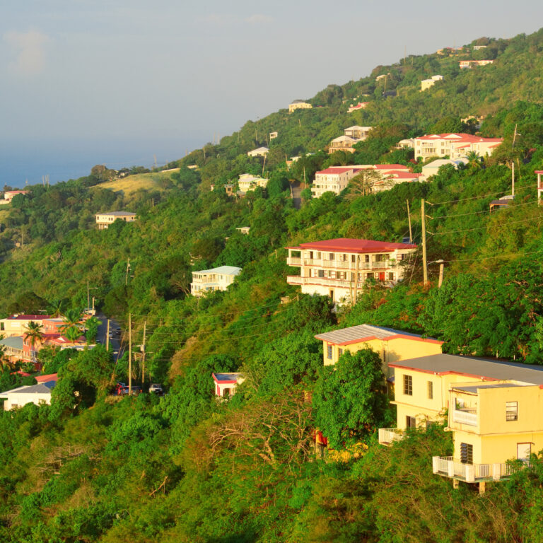 Sierra Leone’de UNESCO milli parkında kaçak malikaneler: Soruşturma sürüyor