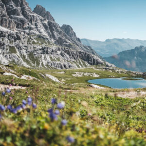 İklim değişikliği hız kazandıkça doğanın ‘motoru durma noktasına geliyor’