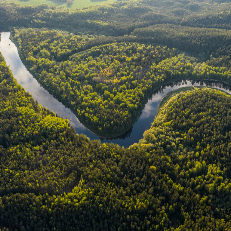 Brezilya Amazonu’nda ormansızlaşma 10 yılın en düşük seviyesinde