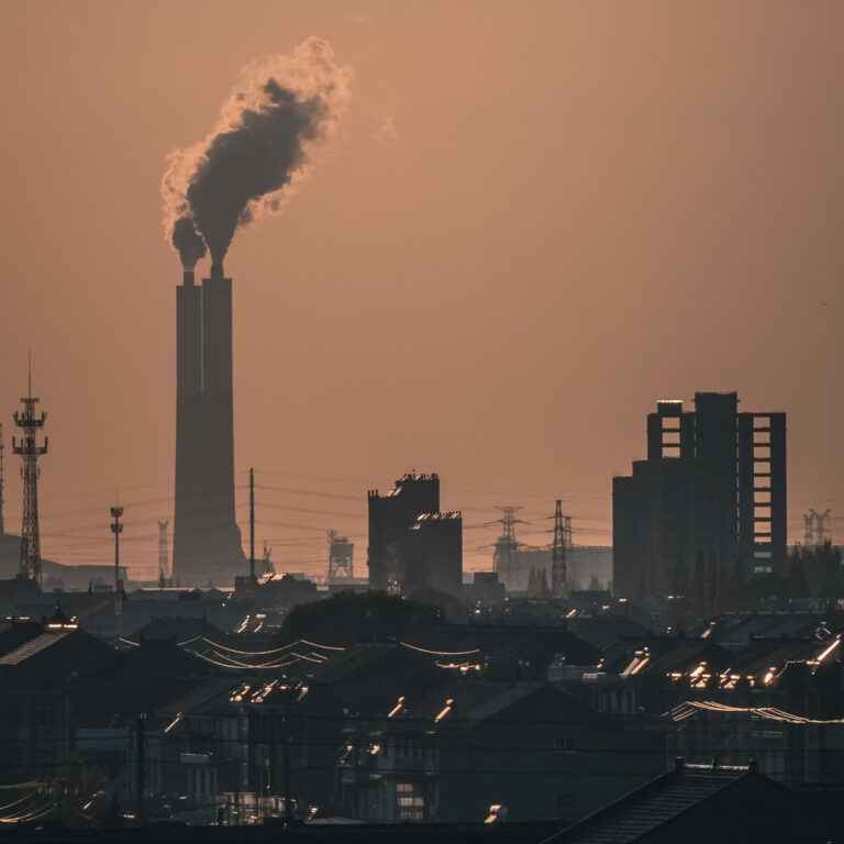 Trump döneminde çevre yaptırımları sert şekilde geriledi