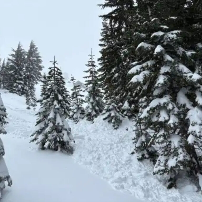 Sierra Nevada’da futbol sahası büyüklüğünde çığ: 9 kayakçı hayatını kaybetti