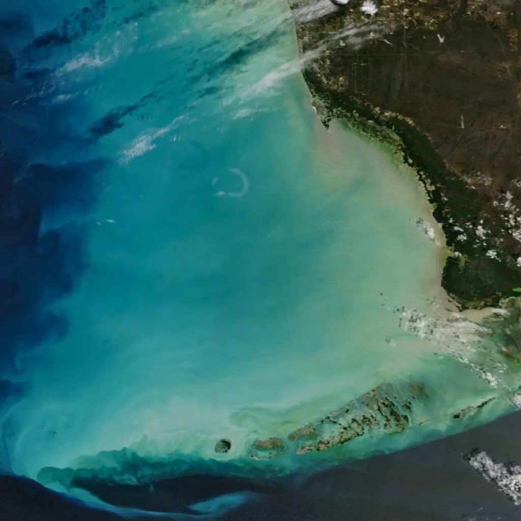 NASA: Florida açıklarındaki sular renk değiştirdi