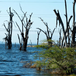 Paris İklim Anlaşması’ndan 10 yıl sonra: Dünya daha hızlı ısınıyor