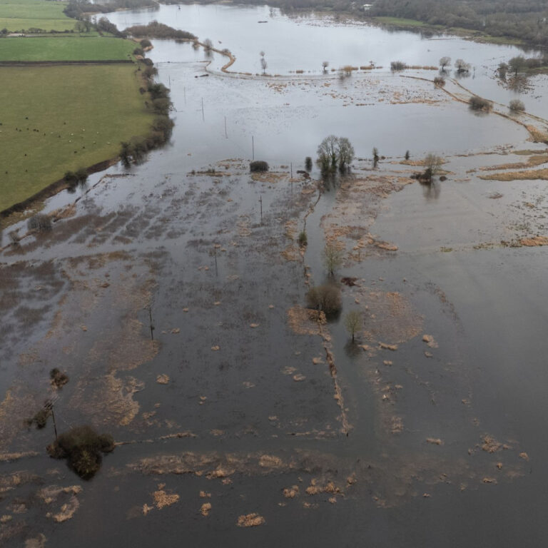 İngiltere’de aralıksız yağış alarmı: Çiftçiler mahsullerin çürümesinden endişeli