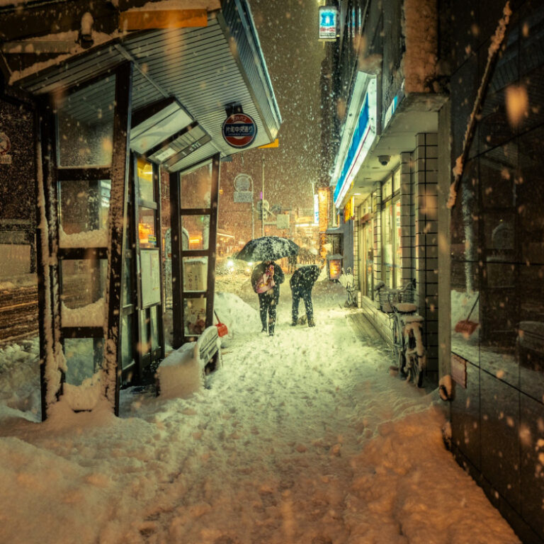 Japonya’da haftalarca süren yoğun kar yağışı en az 30 can aldı