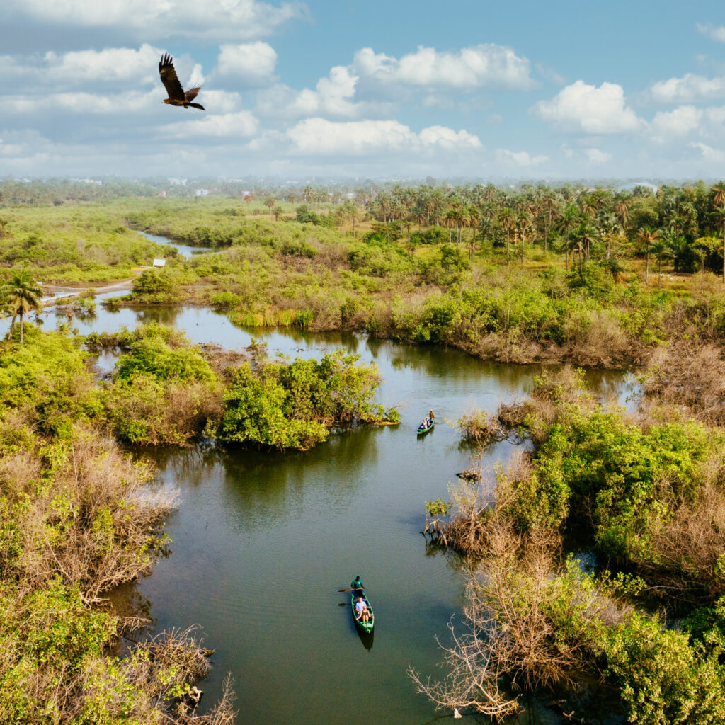 Kongo Havzası’ndaki turbalık göller binlerce yıllık karbonu atmosfere salıyor